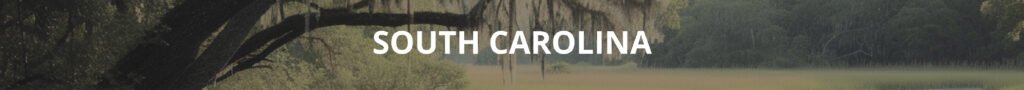 commercial cleaning Absolute Clean Service Area South Carolina